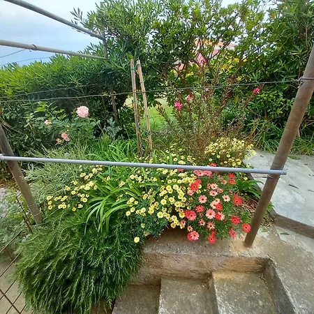 In Rab - Insel Rab 39950 Apartamento