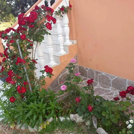 Apartman In Rab - Insel Rab 39950 *