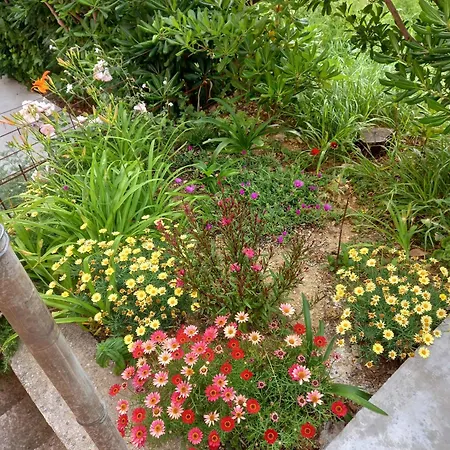 In Rab - Insel Rab 39950 Apartman Rab Town